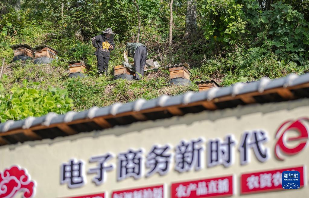 白金有没有免费胜场
